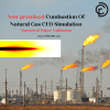 Non-premixed Combustion Of Natural Gas CFD Simulation, Numerical Paper Validation