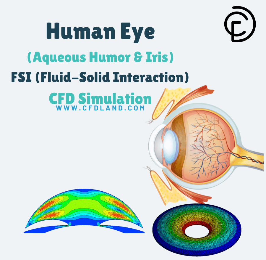 FSI