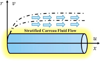 Non-newtonian Carreau Fluid CFD Simulation, ANSYS Fluent Training