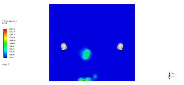 Coronavirus CFD Simulation