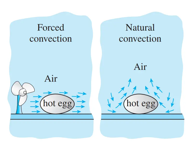 - The cooling of a boiled egg by forced[1]