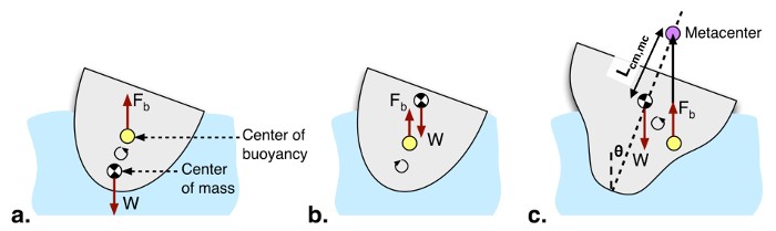 Figure 11- Stable Equilibrium (a) vs. Unstable Equilibrium (b)[6]