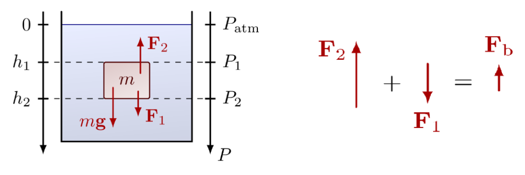 Figure 2- Proofing the Buoyancy law by using the pressure differences[2]