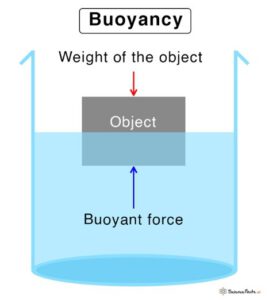 Figure 2- Forces Acting on a Floating Object: Buoyancy vs. Weight[2]