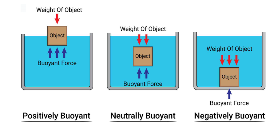 Figure 6- Three types of buoyancy[4]