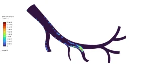 Magnetic Nanoparticles In Artery CFD Simulation using UDF-DPM - ANSYS Fluent Tutorial