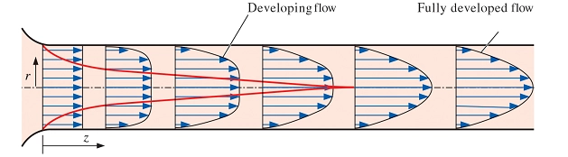 Fluid Mechanics CFD Simulation