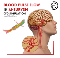 Fluid Mechanics CFD Simulation