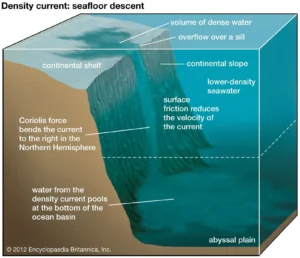 Density Current CFD Simulation by ANSYS Fluent - Experimental Paper Validation