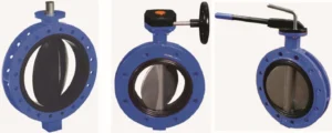 A real-world Butterfly valve for industrial applications