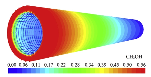 : Schematic of the micro-tube reactor geometry used for the Methanol Steam Reforming CFD simulation, based on the reference study