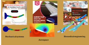 Fluid-Structure Interaction (FSI)
