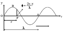 Schematic diagram of a Simple Harmonic Progressive Wave, illustrating the mathematical concept of the sinusoidal motion used for the wall boundary.