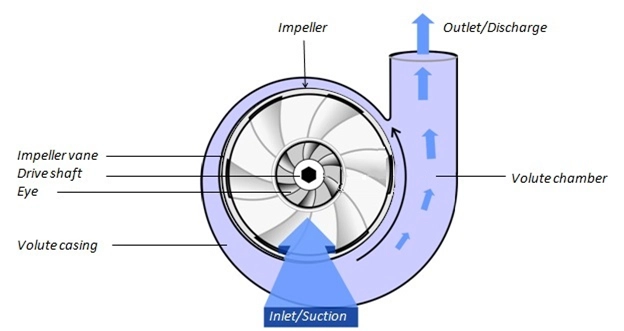 : Structural schematic of the centrifugal pump, illustrating the rotating impeller blades and the stationary expanding volute casing