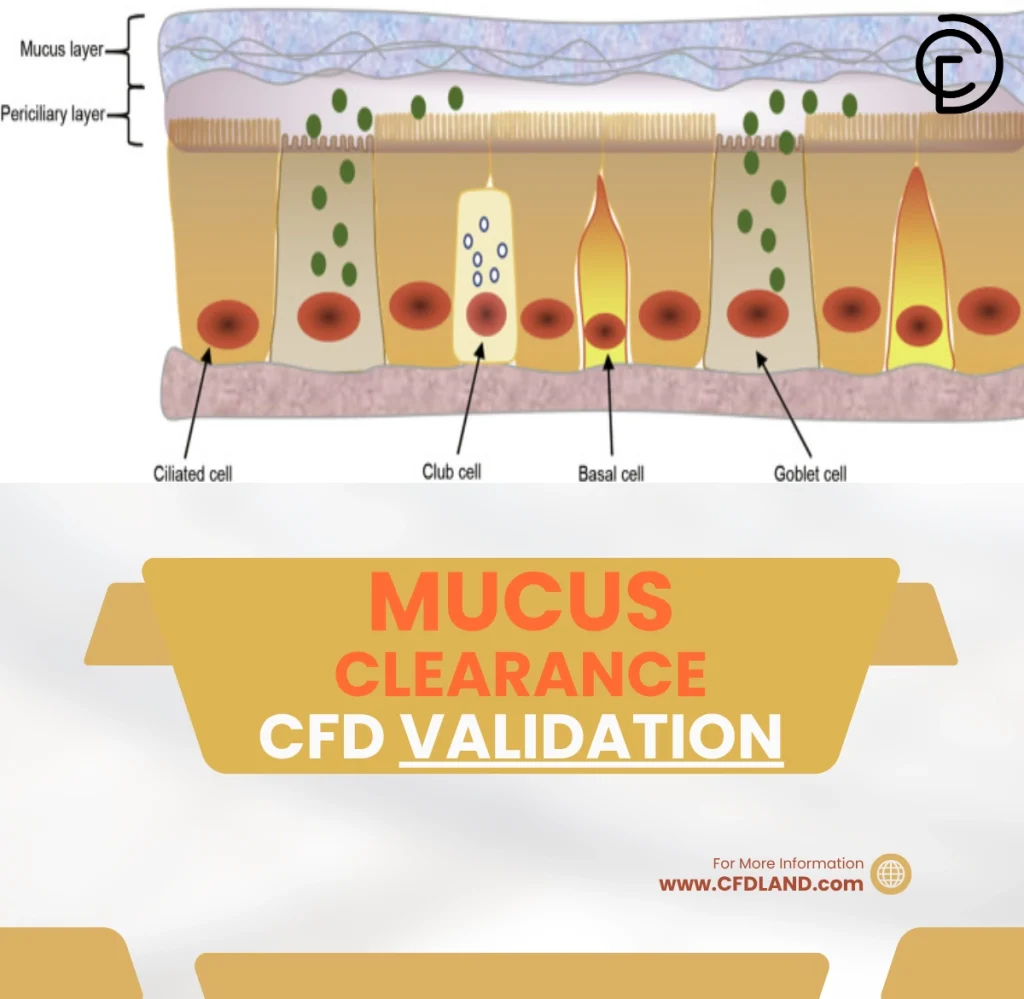 Mucus Clearance CFD Validation: ANSYS Fluent Tutorial