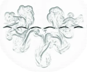 Experimental investigation of two-dimensional Rayleigh-Taylor instability with controllable initial conditions