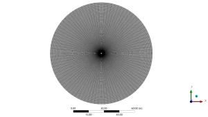 The structured O-grid topology created in ANSYS Meshing, featuring high cell density near the stagnation point