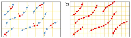 The Discrete Phase Model (DPM) uses a continuous Eulerian field for the fluid flow and Lagrangian tracking for individual particle trajectories.