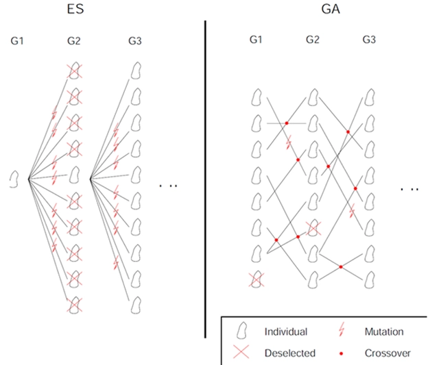 Evolutionary Algorithms apply mathematical crossover and mutation to create offspring from the best parent designs.